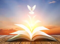 What Is The True Purpose Of The Bible?