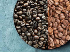4 Coffee Roasting Basics You Need to Know