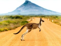 Dont Miss Out: 3 Things to Look for While in Australia